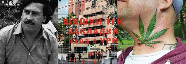 крисы Беломорск