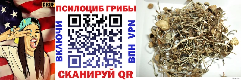 Псилоцибиновые грибы GOLDEN TEACHER  купить наркоту  Велиж 